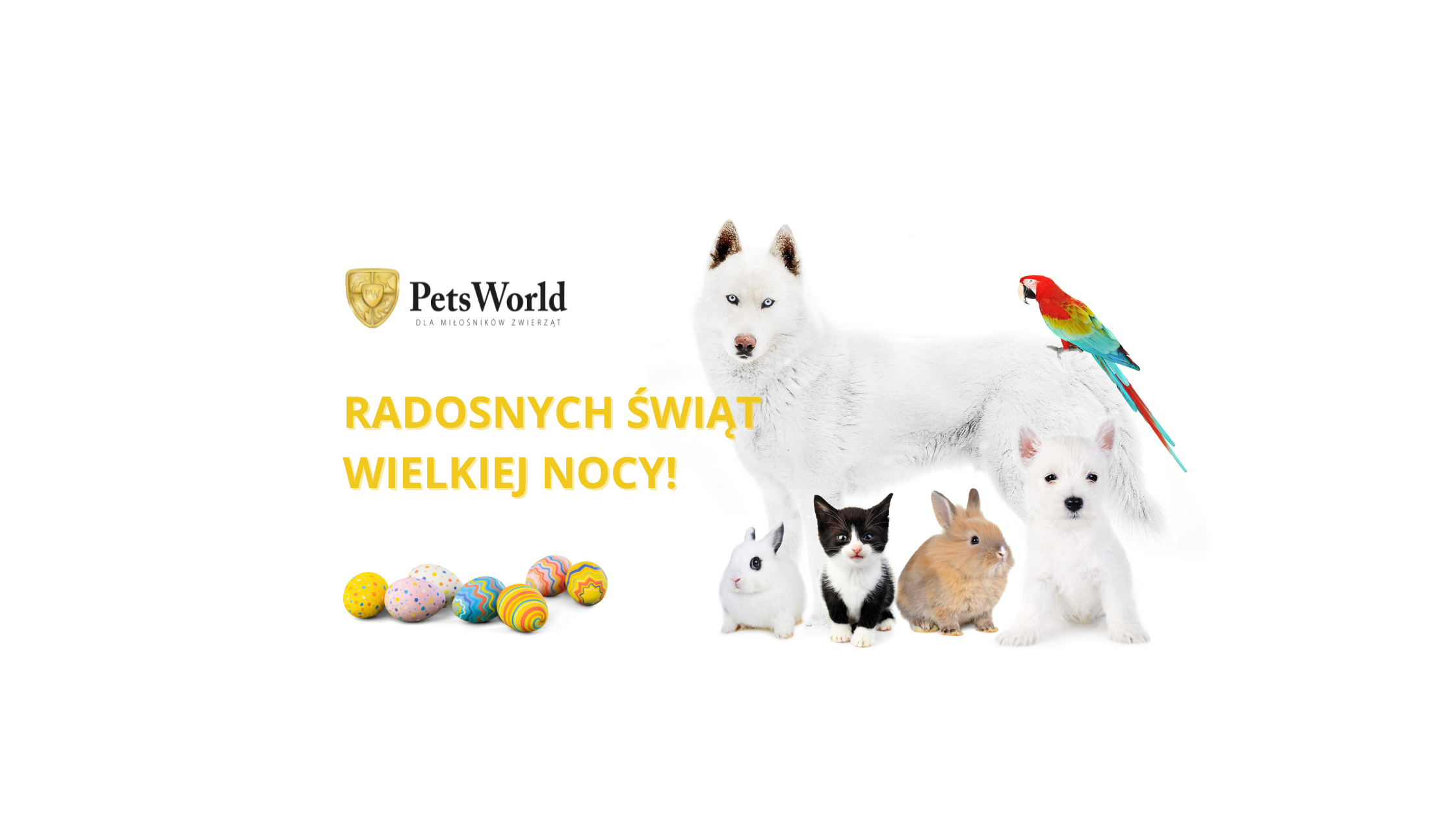 Pets World baner na bloga Wielkanoc