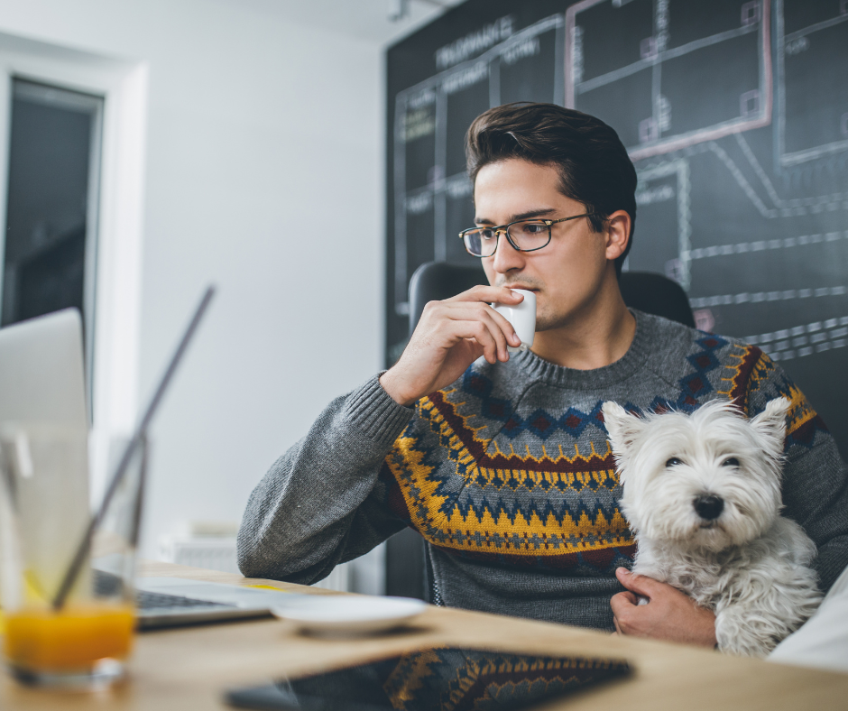 pets at work