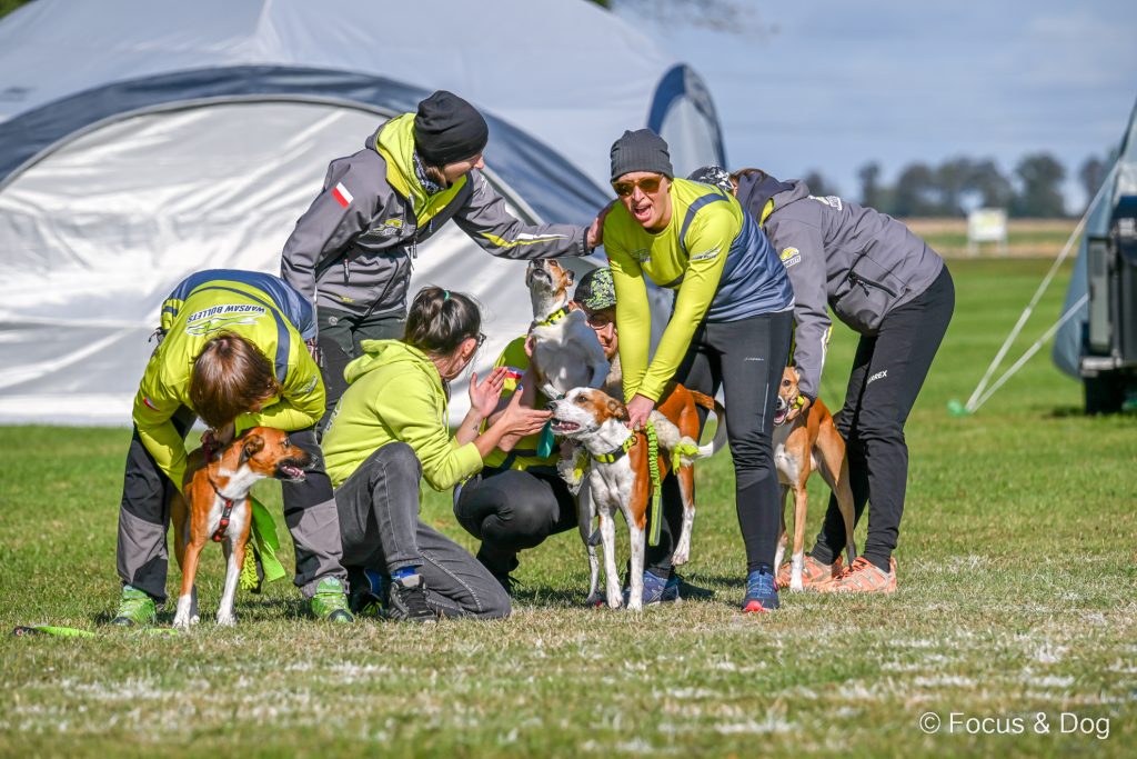 Mistrzostwa Polski we Flyballu 2024