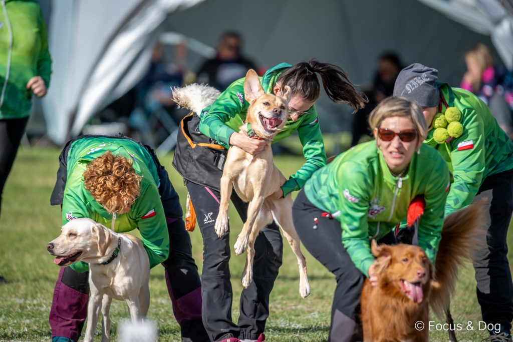 Mistrzostwa Polski we Flyballu 2024