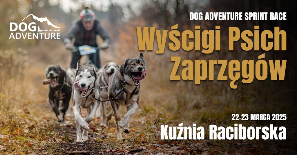 Dog Adventure Sprint Race - Międzynarodowe Wyścigi Psich Zaprzęgów w Kuźni Raciborskiej (woj. śląskie)